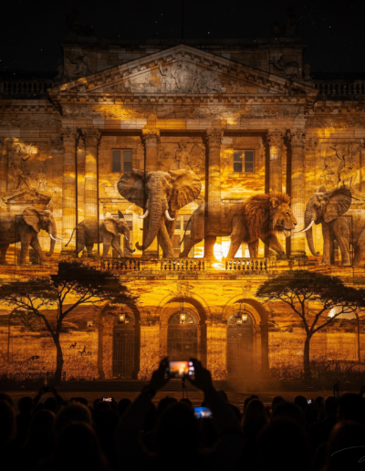 mapping video les elephants